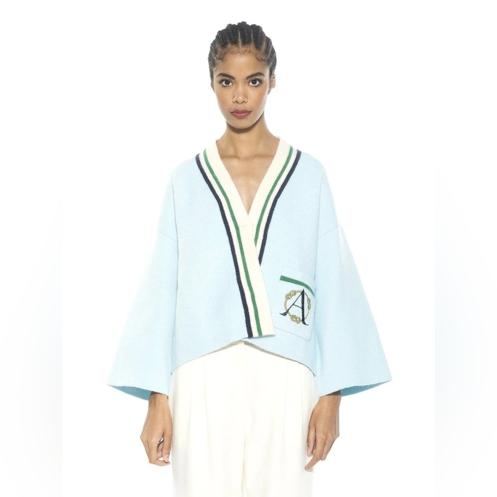 Alexia Admor Light Blue V-Neck Cropped Sweater with Striped Trim